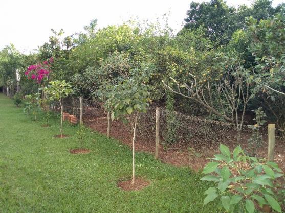 Casa de condomínio para alugar com 3 dormitórios em Morada do sol, Uberlândia cod:30448