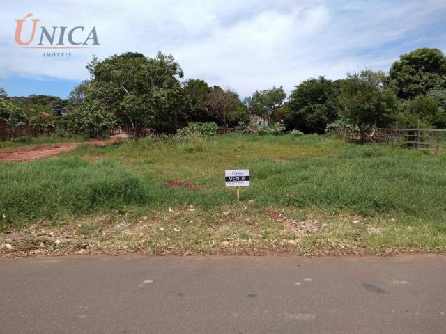 Terreno à venda por R$ 49.000 - Jardim Ipê - Paranavaí/Paraná - Foto 2