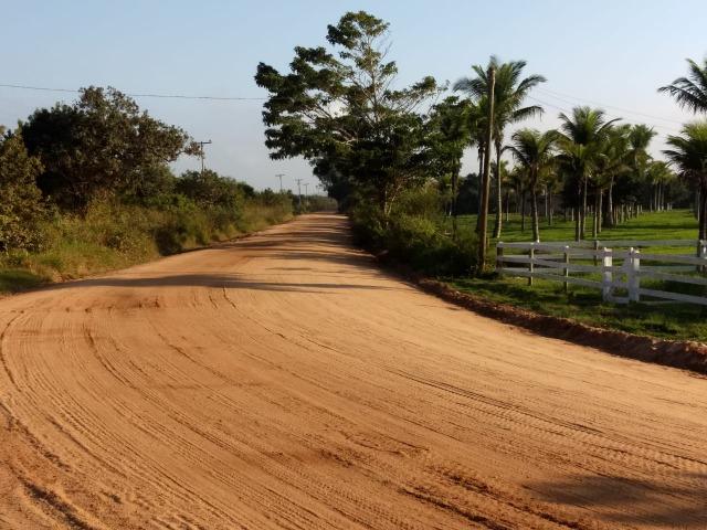 Jô - Cód: 144 - Foto 3