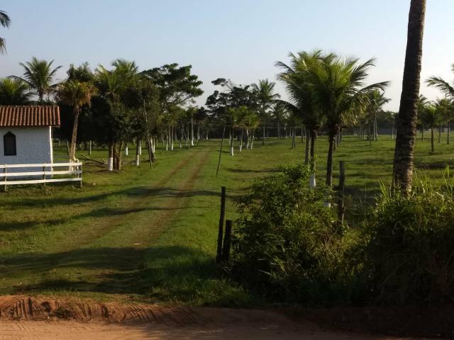 MhCód: 144 Terrenos Próximo ao Trevo de Búzios - Foto 2