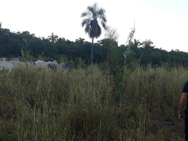 Chácara a 11 km de Acorizal - Foto 4