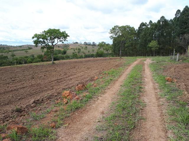 Excelente fazenda em Presidente Olegário/MG- oportunidade - Foto 18