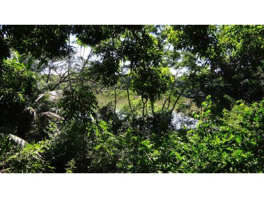 Chácara à venda com 3 dormitórios em Jardim potiguar, Varzea grande cod:15475 - Foto 12