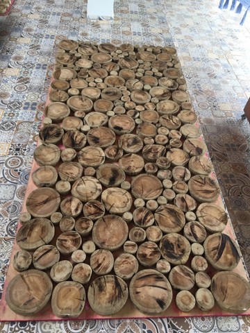 Painel eucalipto - Foto 2