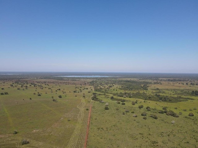 812.240.000 fazenda de 40.612 hectares em Pium-TO - Foto 5