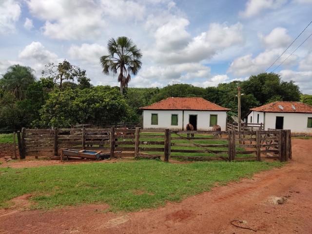 Fazenda de 20 alqueires em Bela vista-Go  - Foto 2