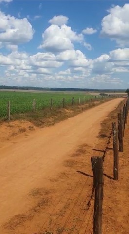 Fazenda de 20 alqueires em Bela vista-Go  - Foto 3