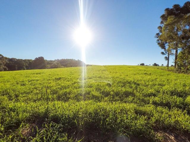 Chácara à venda em Interior, Santo antônio do planalto cod:10631 - Foto 8
