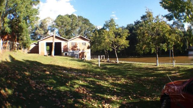 Chácara à venda em Sitio nono zonta, Passo fundo cod:8465 - Foto 8
