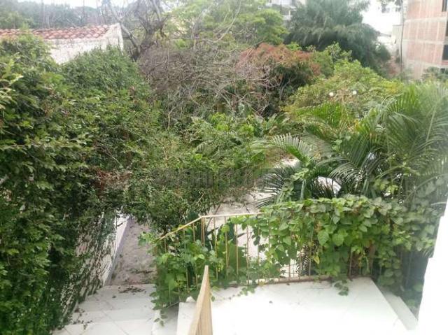 Sítio com 1.600 m2 total com árvores frutíferas - Foto 5
