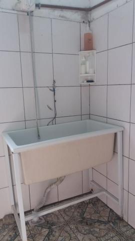 Banho e Tosa - Foto 5
