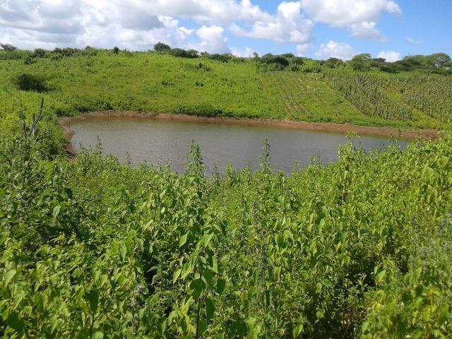 Fazenda com 38 há em são pedro do potengi, casa, curral, barreiro, rio potengi - Foto 14