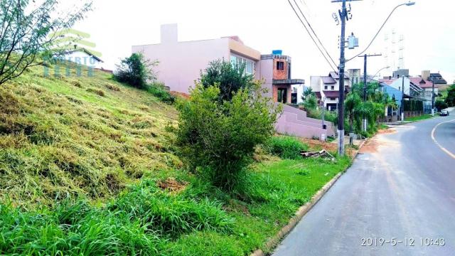Terreno, Protásio Alves, Porto Alegre-RS - Foto 6