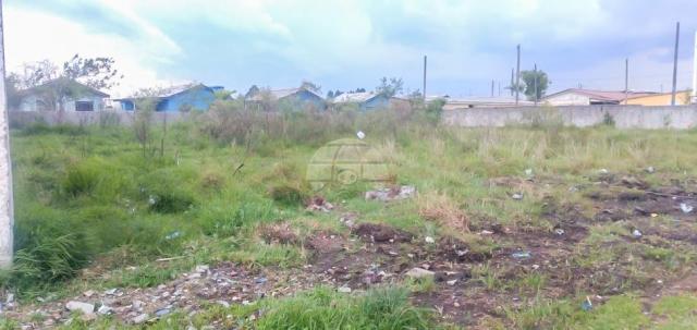 Terreno à venda em Guatupê, São josé dos pinhais cod:153931 - Foto 2