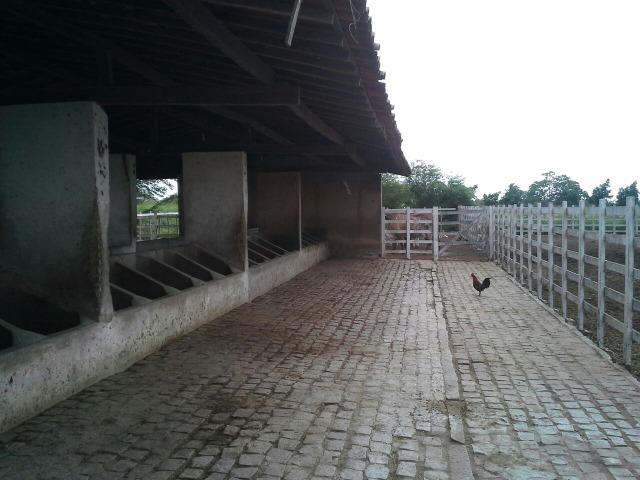 Fazenda com 80 há na br 304, casa, curral,aprisco, rio potengi - Foto 5