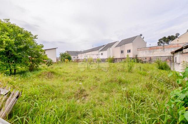 Terreno à venda em Bacacheri, Curitiba cod:142343 - Foto 2