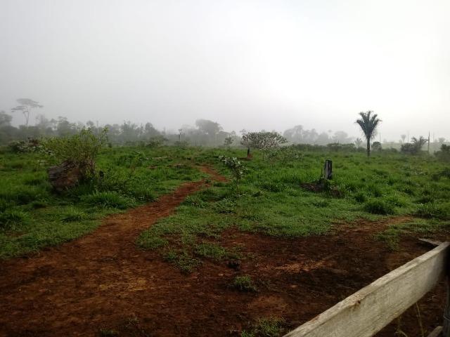 Vendo Fazenda em Novo Prigresso/PA