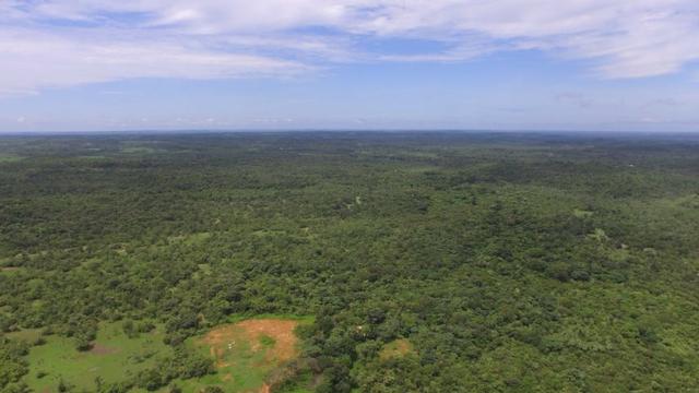 Fazenda em Piracuruca-PI - Foto 4