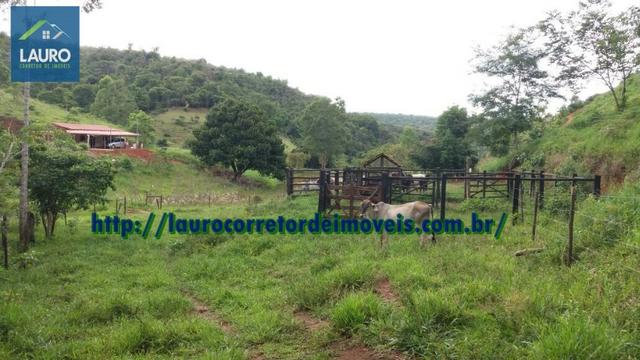 Terra em Catuji/MG com 7,5 alqueires - Foto 15