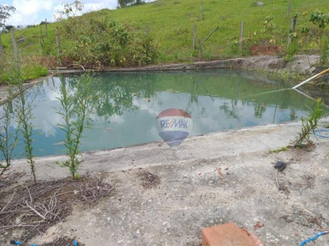 Fazenda com 4 dormitórios à venda, 800000 m² - zona rural - gravatá/pe - Foto 7