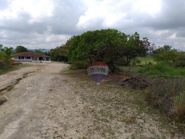 Fazenda com 4 dormitórios à venda, 800000 m² - zona rural - gravatá/pe - Foto 11