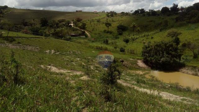 Fazenda com 4 dormitórios à venda, 800000 m² - zona rural - gravatá/pe - Foto 27