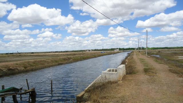 Vendo Fazenda para Produção de Camarão e Peixe - Foto 12