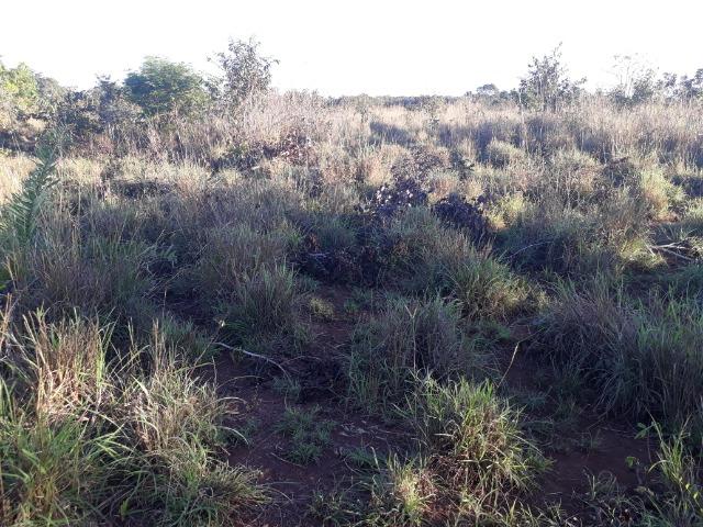 Chácara a 11 km de Acorizal - Foto 17