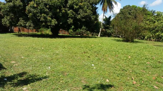 Terreno de 360m2 por R$90mil direto com o proprietário *15 - Foto 5