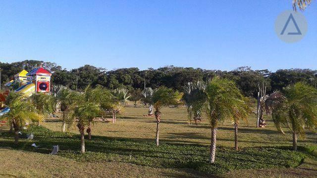 Terreno à venda, 459 m² por r$ 95.000 - balneário das garças - rio das ostras/rj - Foto 5