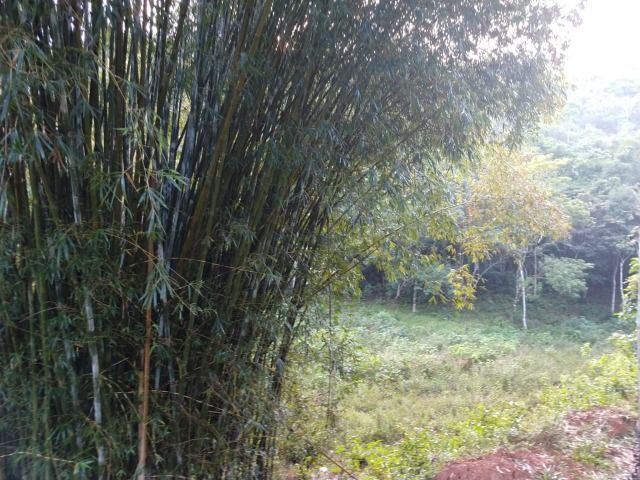 Vendo Sitio/área maravilhosa em Buenos Aires - Foto 5