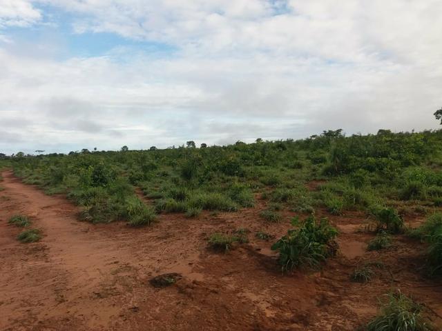 Fazenda em Grajaú, oportunidade