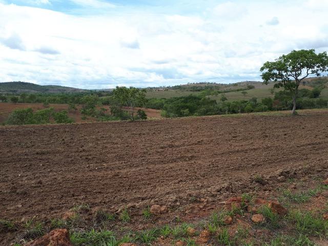 Excelente fazenda em Presidente Olegário/MG- oportunidade - Foto 13