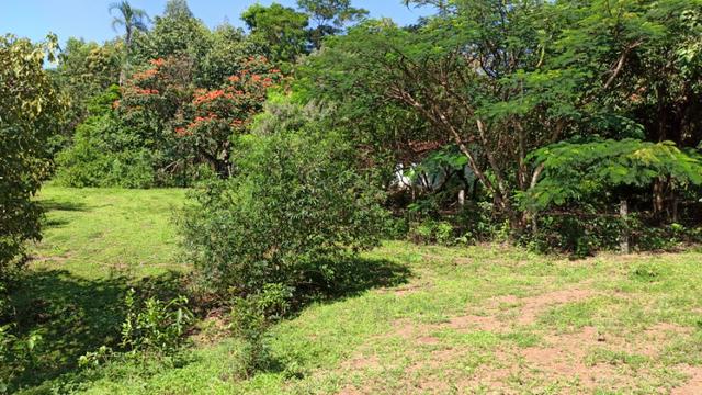 Chácara 2 Alqueires Formada 9 Km Asfalto Corumbá Goiás - Foto 6