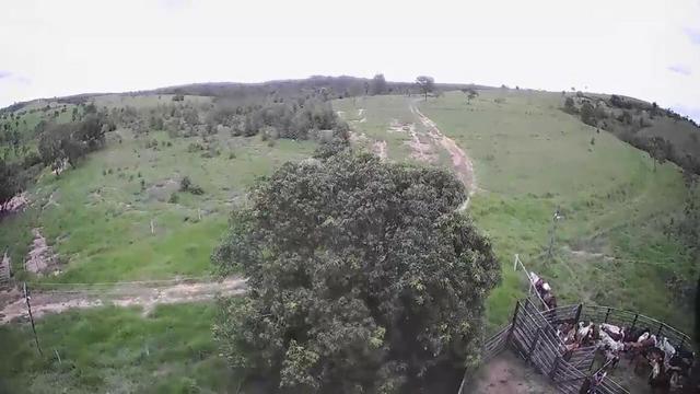 Excelente fazenda em Presidente Olegário/MG- oportunidade - Foto 9