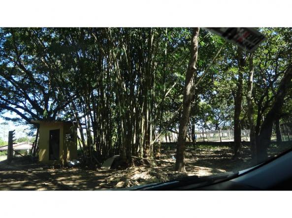 Chácara à venda com 3 dormitórios em Jardim potiguar, Varzea grande cod:15475 - Foto 5