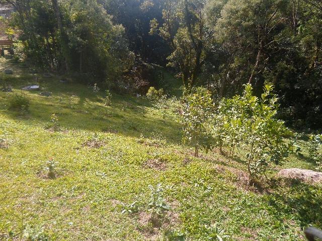 Chácara 32247 m², bem cuidada - Foto 11