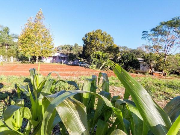 Chácara à venda em Interior, Santo antônio do planalto cod:10631 - Foto 7