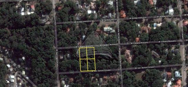 Terreno à venda em Lucas araújo, Passo fundo cod:9942 - Foto 2