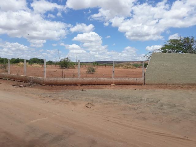 Ibimirim=Vend.5.500 mil por Hect=Fazenda mil Hect. Pronta pra Criar e Plantar=Água,Energia - Foto 12