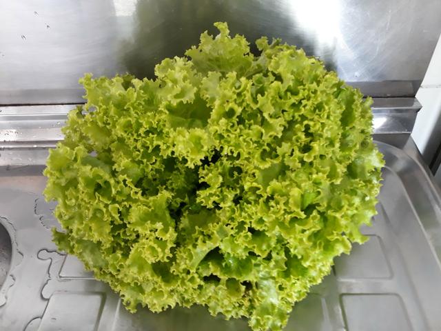 Cheiro Verde e alface orgânica - Foto 3