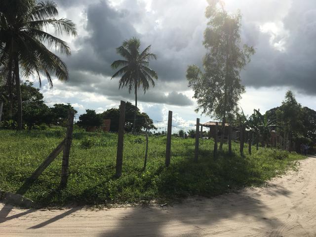 Vende se terreno em Monte alegre - Foto 3