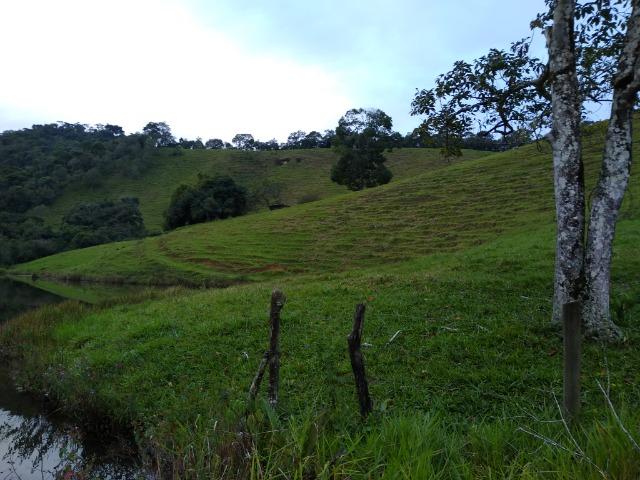 Fazenda Viana 20 alqueires - Foto 15