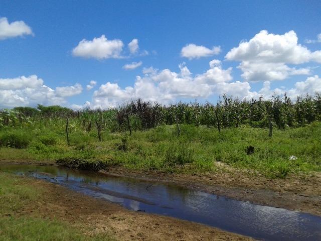 Fazenda com 38 há em são pedro do potengi, casa, curral, barreiro, rio potengi - Foto 16
