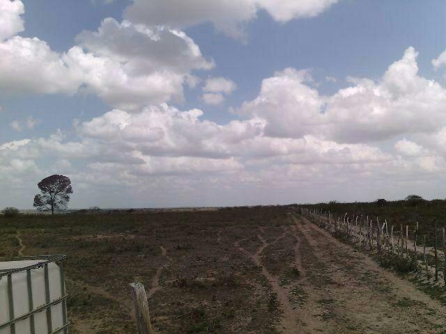 Terra no Sítio Lagoa Redonda Zona Rural de São Pedro RN What * - Foto 2
