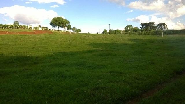 Sítio em Lagoa Vermelha RS - Foto 4