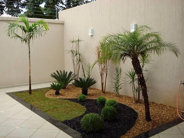 Antonio jardinagem - Foto 3