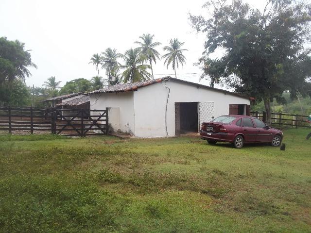 Fazenda com 110 há a 20 km de macaíba, 4 casas, 3 poços, riacho, barreiro - Foto 16