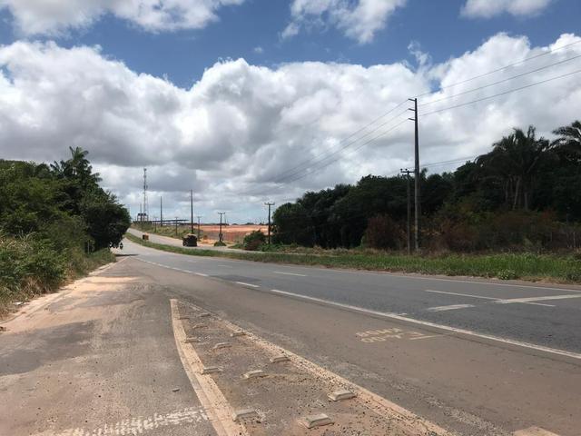 Terreno Vila Maranhão - Foto 2