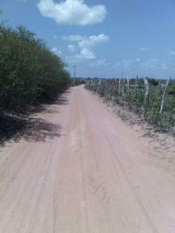 Terra no Sítio Lagoa Redonda Zona Rural de São Pedro RN What * - Foto 7